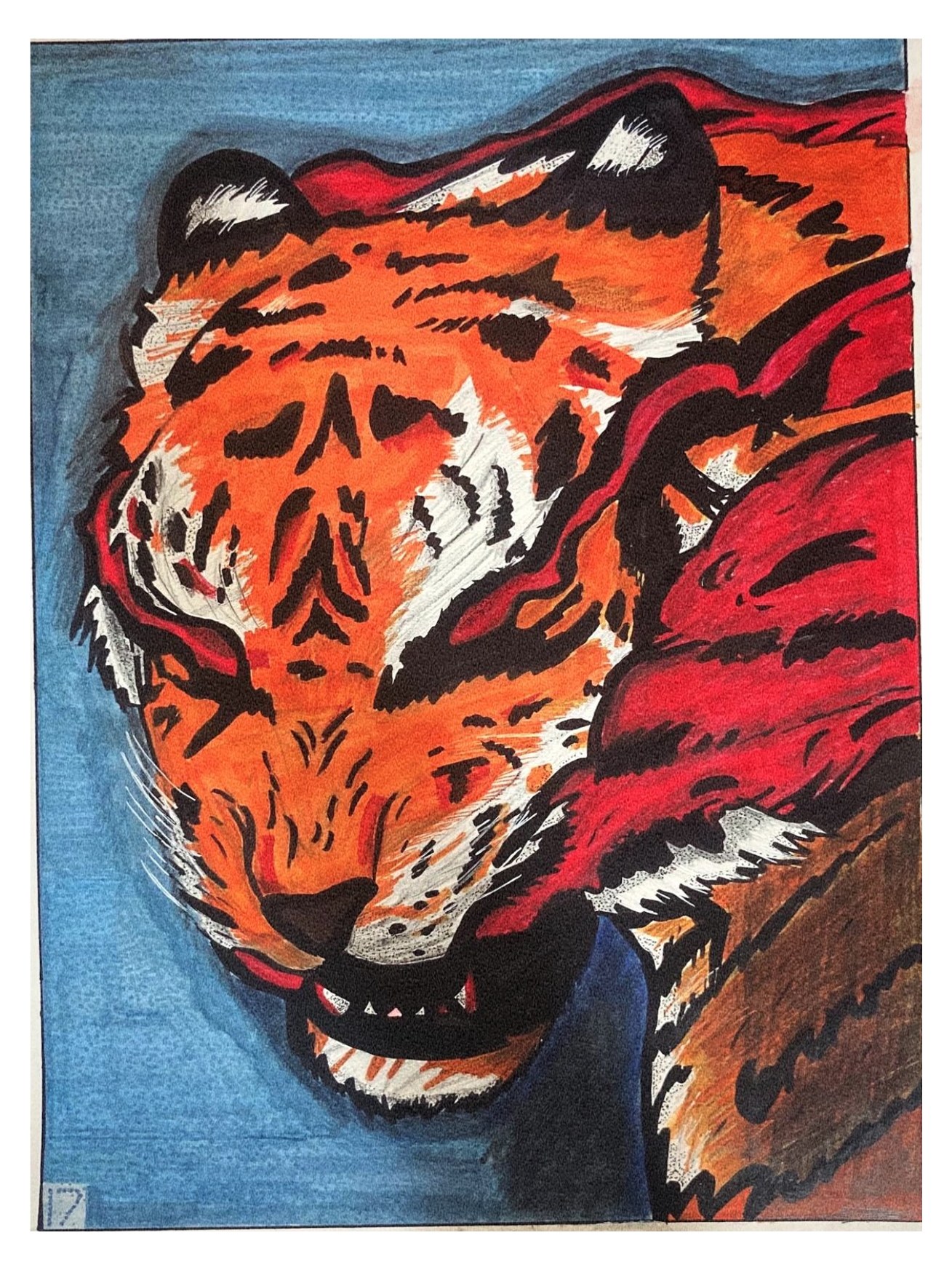 Marker drawing of a snarling tiger against a blue ground